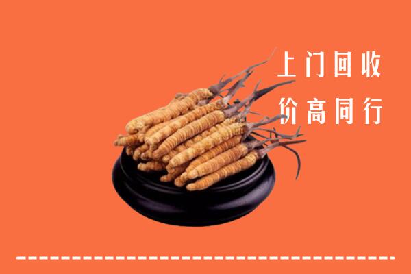 高价求购：赤峰回收散虫草