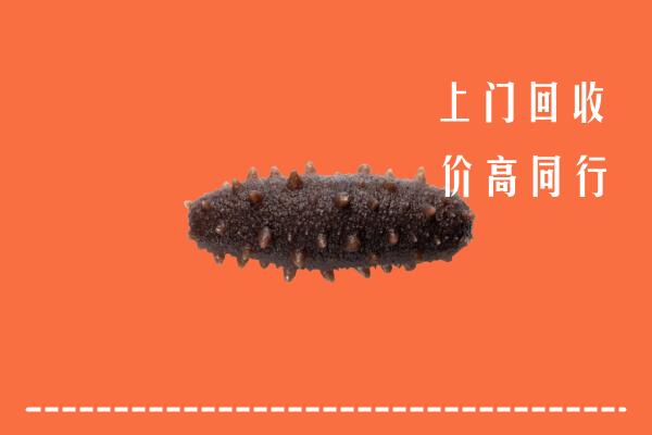 高价求购：赤峰回收海参