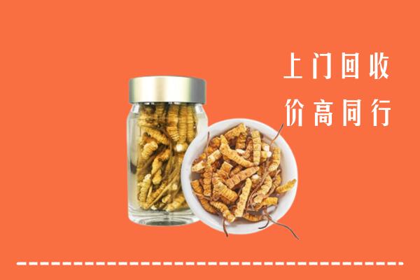 赤峰回收冬虫夏草